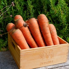 전라도청년 프레시 국내산 흙당근, 1개, 3kg(중)