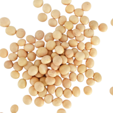 日生元 黃豆 600g - 非基因改造，營養豐富，健康首選, 1個