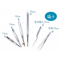 醫療級不鏽鋼鑷子組：尖頭/彎頭可選，棉花夾、醫用鑷子，精準夾取，衛生安全, 1個, 鑷子 24cm