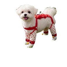 狗狗四腳防髒衣 夏季薄款包腳寵物服裝 蝴蝶結小型犬牽引服, 德羅紅, 1個