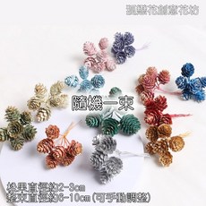 彩色落葉松果串/落葉松果/落葉金松果/落葉松/拍照道具/乾燥花配件/乾燥花花材/乾燥花材/聖誕花材/松果/聖誕花圈材料, 1個, ❰隨機顏色❱落葉松果串(1束6枝), 隨機顏色