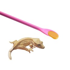 크레피딩 피딩 실리콘 파충류 도마뱀 슈퍼푸드 피딩 롱 스푼 ujd+371Ve