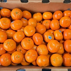 프리미엄 고당도 미국 만다린 귤 수입 감귤, 1박스, 만다린 5kg