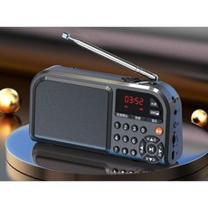 ANENG F201 插卡音箱 收音機 MP3播放器, 曜石黑