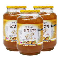 자연톡 고흥 웰빙 꿀 생강차 진저 청, 1개, 2kg, 3개입