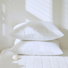 루시드슬립 국내산 지퍼형 새솜 스탠다드 베개솜, 1개, 화이트