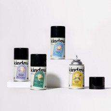카인드미 kindme 향수 방향제 디퓨저 캔스프레이 원룸 탈취제 방향캔, 오션 뷰, 1개, 250ml