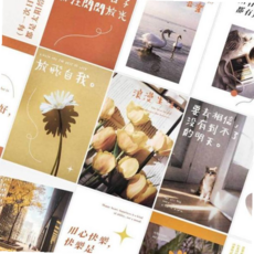 컬러 모음 엽서 감성 포토엽서 디자인엽서 소망 59000EA 1EA, 본상품