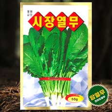 열무씨앗 잎이 부드러운 전라도 암열무 시장열무씨앗 50g, 1개