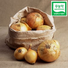 친환경 무농약 양파 2kg 3kg 5kg, 1박스