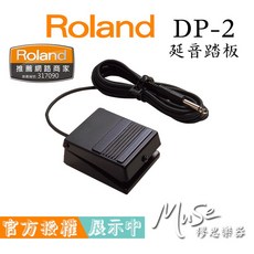 Roland DP-2 延音踏板, 1個