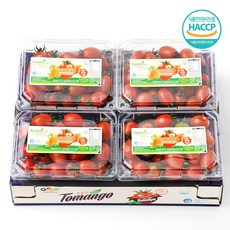 장보남 스테비아 방울토마토 청포도향 토마토, 1박스, 2kg(500gx4팩)
