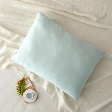 모던하우스 말랑필 폭신한 몽글베개 50x70 민트 FP1124020, 1개