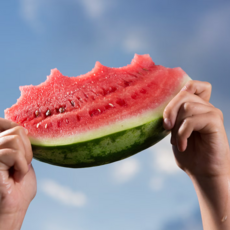 [겨울수박특품] 한정판매 꿀단지 1차완판 수박, 1개, 특품6-5kg