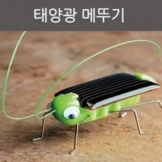 태양광 진동모터 메뚜기 로봇 과학 장난감 벅스봇 수업 돌봄 곤충로봇 벅스 사이언스 작동 초등과학 유아
