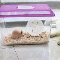 1Pcs 헤비 듀티 철제 햄스터 운동 휠 브래킷 지원 랙 소형 애완 동물용 러닝 휠 스탠드 안정적인 무소음 홀