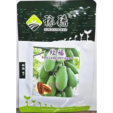 SUNTECH 稙 紅福木瓜種子 Sun Lady (PP7103)F1 兩性株 耐病 早生 結果力強, 1包