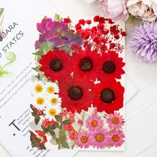 한현 압화 컬러믹스 종합팩 꽃모음 1장 50개꽃, 004번