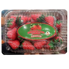 스퀴즈팝 딸기맛 구미 젤리 캔디, 576g, 1개