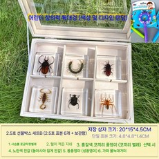 곤충박제 곤충표본키트 관찰함 액자 진열장 투명 학교 교육 수집 생물, A