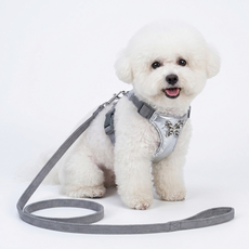 소형견용-메탈 리본 강아지 하네스+리드줄 세트-산책+포인트룩, 그레이