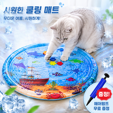 HANTAO 강아지 쿨매트 공기 물 주입식 물매트 사계절 아이스 고양이 침대 장난감+공기주입통 65cm 100cm