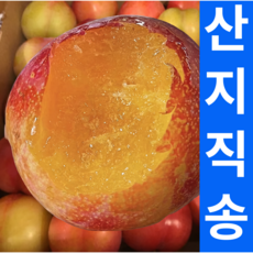 [26년첫수확특가] 당도선별 제철 자두 산지직송, 1세트, 1kg