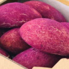 [디저트바이블룸] 수제 찹쌀 고구마빵 겉쫀속촉 겉빠속촉 영양간식 출출할때 식사 대용, 95g, 10개