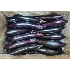 가락싱싱 국내산 가지 5Kg 1박스 (특품)