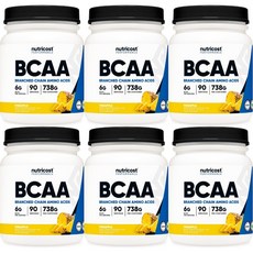뉴트리코스트 고흡수 BCAA 파우더 파인애플, 6개, 738g