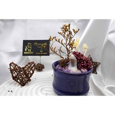 KGBASTET 療癒水晶永生花小物，心情愉悅能量滿滿，辦公室居家擺設