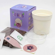 캣그라스 캣닢 씨앗화분 화분키트, 상세페이지 참조
