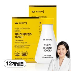 비타민마을 와이즈 비타민D 3000IU, 90g, 2개