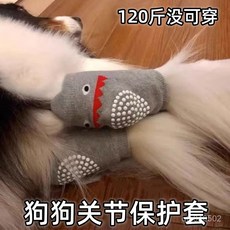 狗狗關節保護套，前後腿防磨, 1個, 琥珀色,1雙【中大型狗狗】