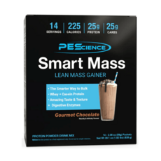 클린 벌크업 게이너 SMART MASS 초코맛, 1개, 826g