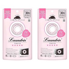 란도린 사쿠라 2026 체리 블라썸 차량 방향제, 2개