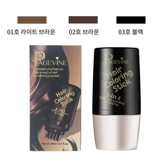 새치 흰머리 커버 빗형 스틱 빠른 뿌리커버 간편 사용 20g, 1개, 03호 블랙