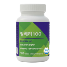 빌베리 농축 분말 정 식약처 HACCP 인증, 1개, 120정