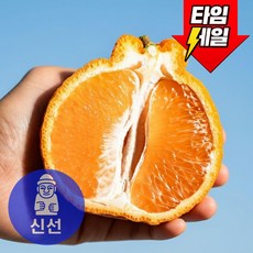 환불보장 최고당도 21브릭스 써니트 한라봉, 1개, 제주신선 명품 써니트 한라봉 3kg (9-12과)