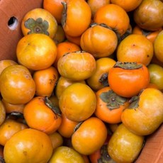 아삭한 고당도 국내산 햇단감 가정용(크기랜덤 흠집), 1박스, 2kg