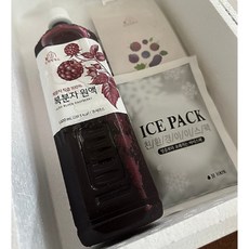 [정품] 상희팜푸드 고창 복분자 액기스 생과 착즙 원액, 2개, 1L