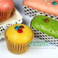 (SC) 부풀어오르는 케이크(4인용)