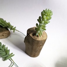 仿真多肉植物樹幹擺飾, P78仿真多肉+木頭底座(隨機), 1套