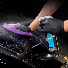 다보니 더지니 물없이 간편 세차 워터리스 광택 카샴푸, 1개