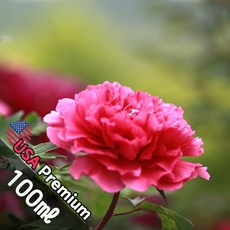 B003 터쿼즈피오니 100ml (Turquoise Peony) 프래그런스오일 캔들 디퓨저 향수, 1개