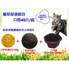 【醬米資材】DIY自種自採小麥草貓草超值組合:寵物健康零食 安全無添加 幫助消化, 1個, 100g