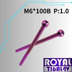 ROYAL TIGALAY 鈦合金螺絲 M6*100B P:1.0 錐形螺絲 皇家紫, 1個