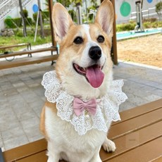 다온58 강아지 스카프 핑크 M 사이즈조절