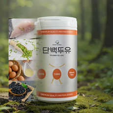 단백투유 분리유청 식물성 WPI 단백질 쉐이크 보충제 프로틴 밀크티홍차맛, 1개, 500g