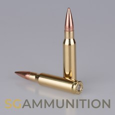 실물기반의 7.62 X 51mm FMJ 새탄피 더미탄 1발(모형탄 모형총알), 선택안함, 새탄피 (열처리됨), 1개